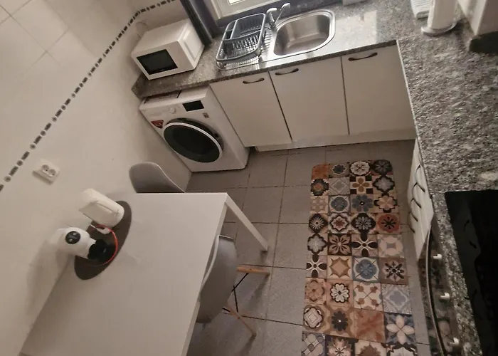 Ina's Garden In Apartament *